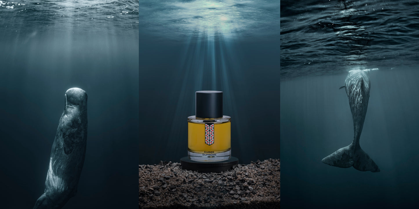 Ambre Supreme