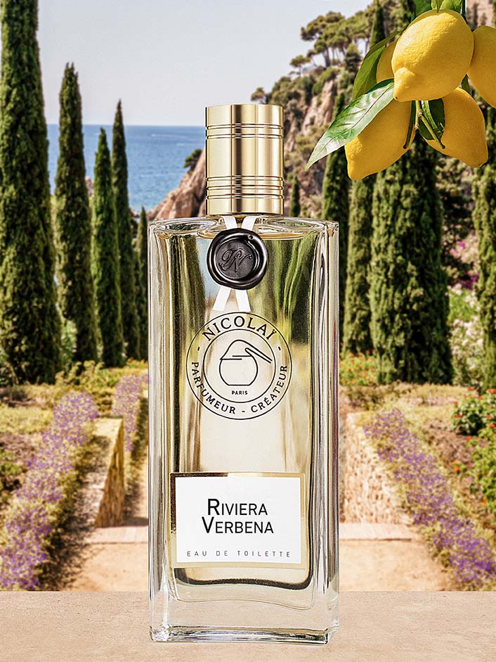 Riviera Verbena