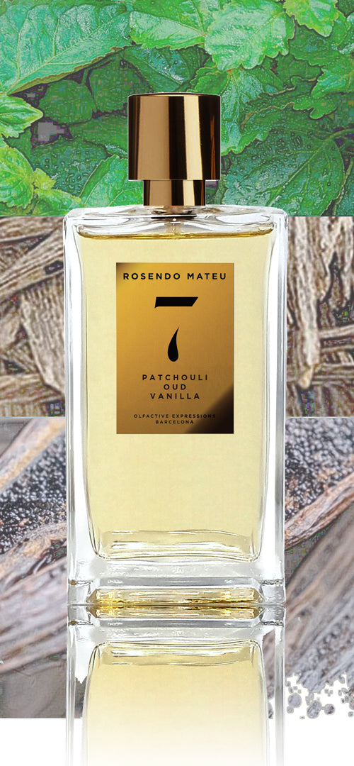 Rosendo Mateu 7